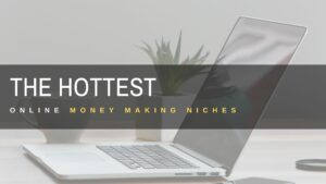 Online Money Making Niches