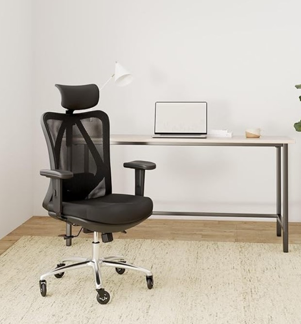 Ergonomic Office Chair